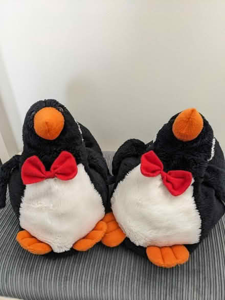 Photo of free Penguin slippers (Bracknell RG12) #1