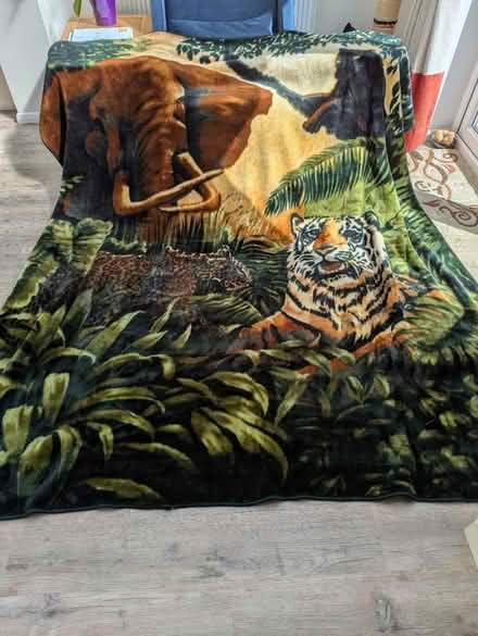 Photo of free Large Fleece Blanket (Rothwell NN14 6) #1