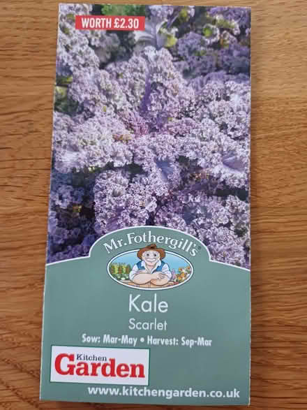 Photo of free Kale seeds brand new (Chichester PO19) #1