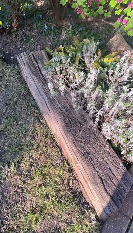 Photo of free Old Sleepers (Eltham) #2