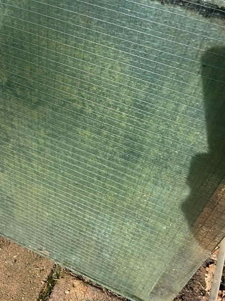 Photo of free reinforced sheet glass (Costessey NR8) #2