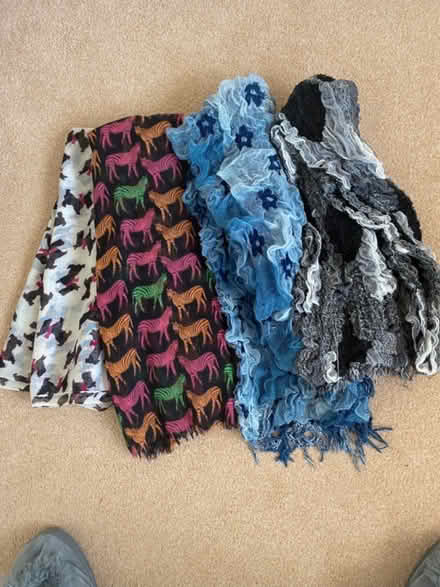 Photo of free Scarf selection (Upshire EN9) #1