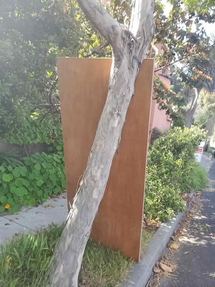 Photo of free Curb Alert! Nice hollow core door (Albany) #1