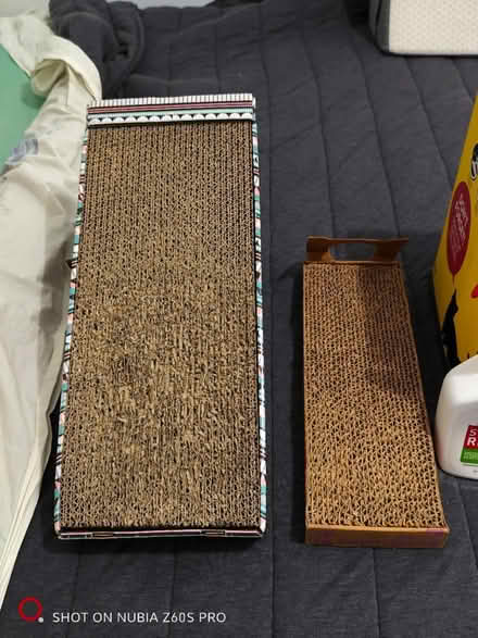 Photo of free Various Cat Stuff (Washington Heights) #2