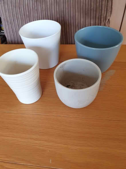 Photo of free Plant pots indoor (TN38) #1