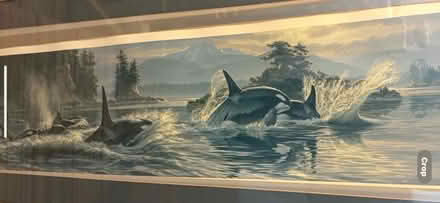 Photo of free Large picture (Oswestry) #3