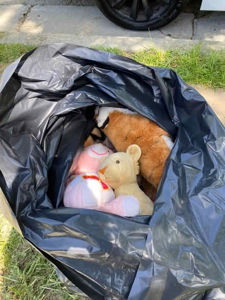 Photo of free Bag of great stuffed animals (Btwn maxwell park &fremontHigh) #1