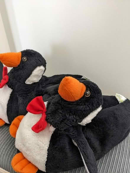 Photo of free Penguin slippers (Bracknell RG12) #2