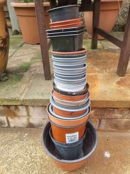 Photo of free 30+ plant pots (Enfield EN3) #1