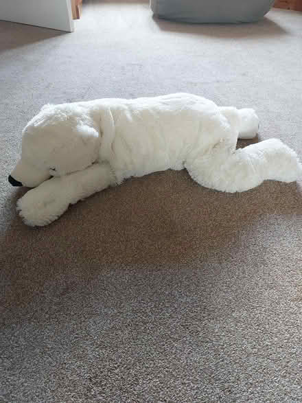 Photo of free Soft toy (WR2) #2