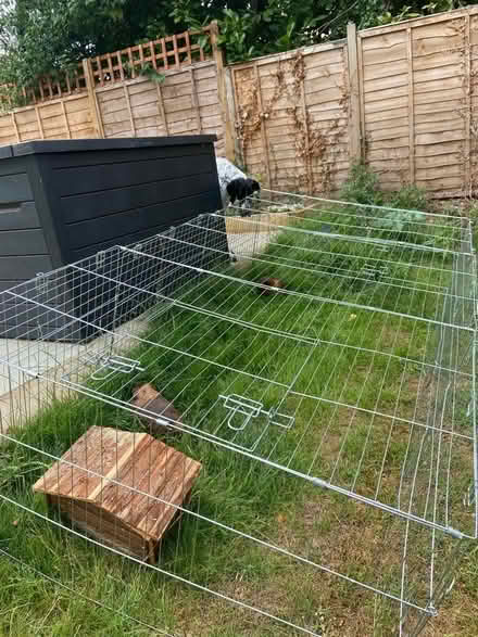 Photo of free Guinea pig run (Holcot) #1