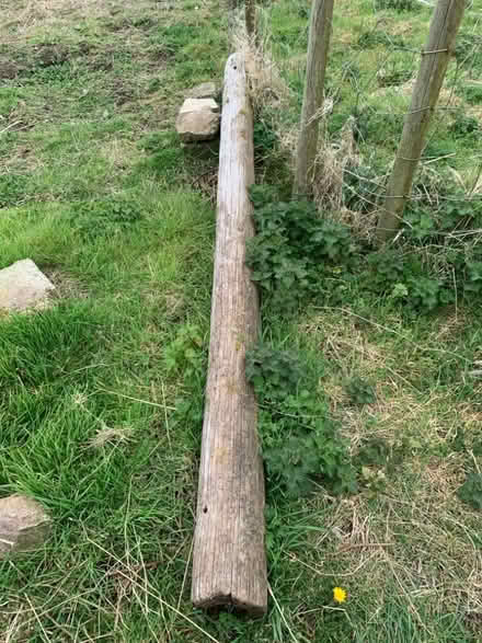 Photo of free Old telegraph pole (Cornwall AONB TR19) #1
