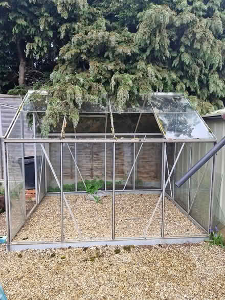 Photo of free Aluminium 8x6 Greenhouse (IP3) #3