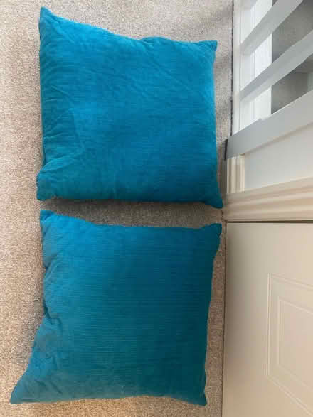 Photo of free 2 blue cushions (Havant) #1