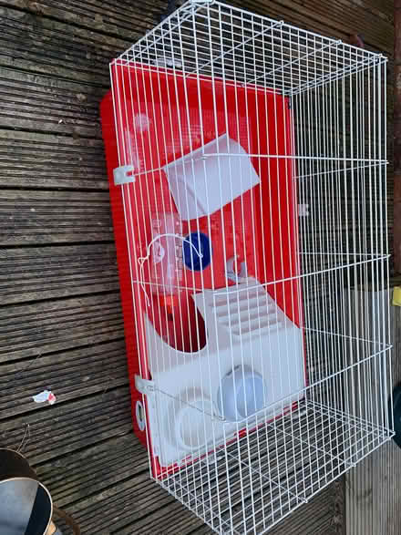 Photo of free Indoor guinea pig cage (Greystones S11) #1