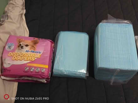 Photo of free Various Cat Stuff (Washington Heights) #4