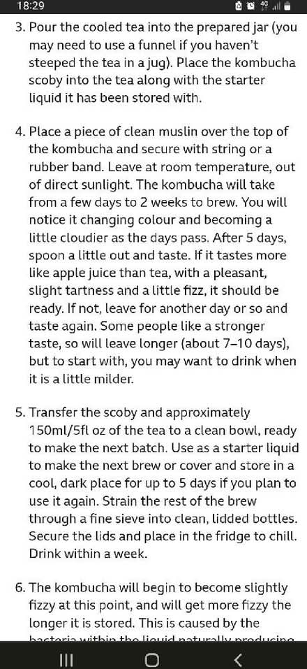Photo of free Kombucha scoby (Downhead Park MK15) #2