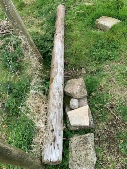 Photo of free Old telegraph pole (Cornwall AONB TR19) #2