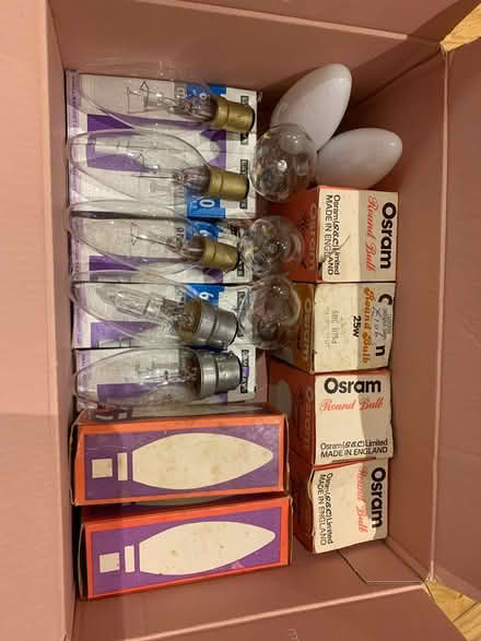 Photo of free 23 light bulbs (W12) #1