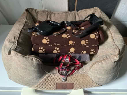 Photo of free Dog bed, blankets and leads (Skellingthorpe LN6) #1
