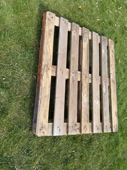 Photo of free Pallet (Welling DA16) #2
