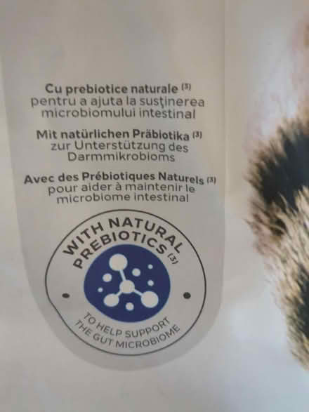 Photo of free Large bags dry cat food (Margate CT9) #2