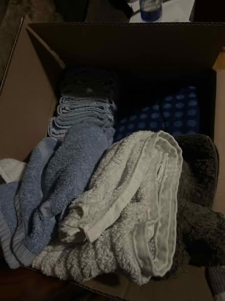 Photo of free Towels and mat (Pine Bush) #1