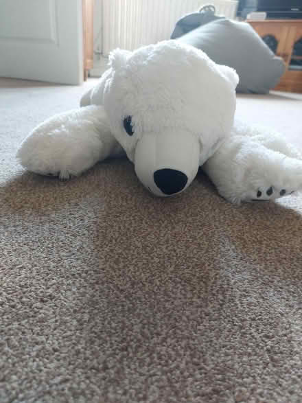 Photo of free Soft toy (WR2) #1