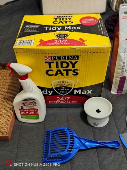 Photo of free Various Cat Stuff (Washington Heights) #3