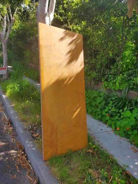 Photo of free Curb Alert! Nice hollow core door (Albany) #2