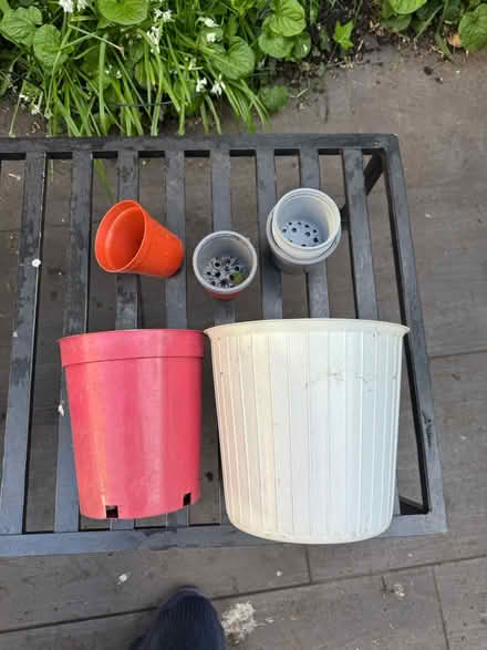 Photo of free 15 plastic plant pots (SE11) #1