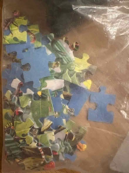 Photo of free 60 piece puzzle no box (94087) #2