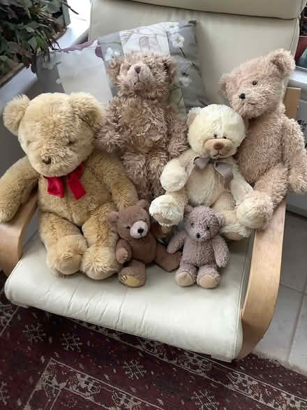 Photo of free Teddy bears (Ipswich IP4) #1
