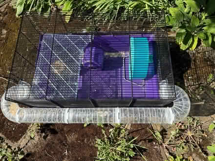 Photo of free Hamster cage (Enfield EN2) #1