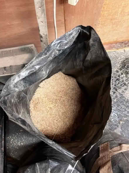 Photo of free 5 bags of sawdust (G66 Lenzie) #2