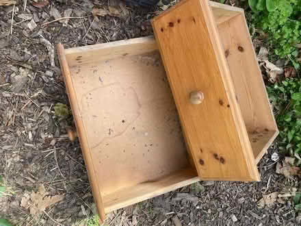 Photo of free Storage or Growing containers (CT11) #1