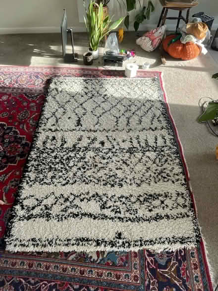 Photo of free White Rug (Walthamstow) #1