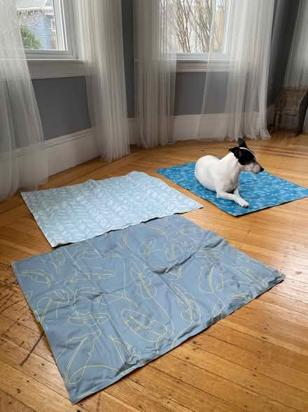 Photo of free Pet cooling pads (Lowell and highland) #1