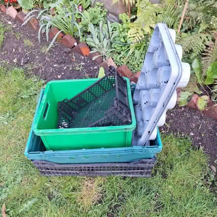 Photo of free Various plastic crates and trays (Witham CM8) #1