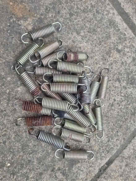 Photo of free 28 x trampoline springs (Enfield EN3) #1