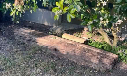 Photo of free Old Sleepers (Eltham) #3