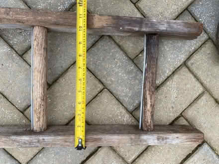 Photo of free Clematis or the like climbing ladder (Batheaston) #1