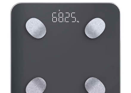 Photo of Body scale (Dingle L8) #1