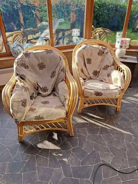 Photo of free Conservatory chairs (Wymington NN10) #1