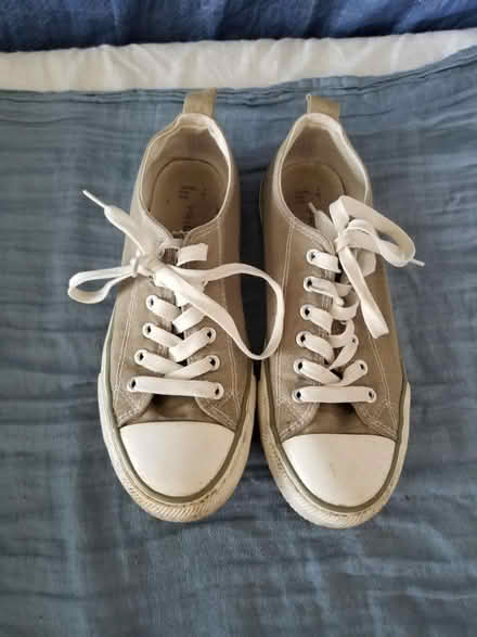 Photo of free Grey-green canvas shoes size 5 (Gloucester) #1