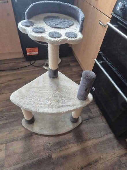Photo of free Cat scratching post (Loughborough LE11) #1