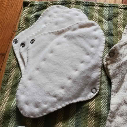 Photo of free Reusable menstrual supplies (Ann Arbor Northwest Side) #3