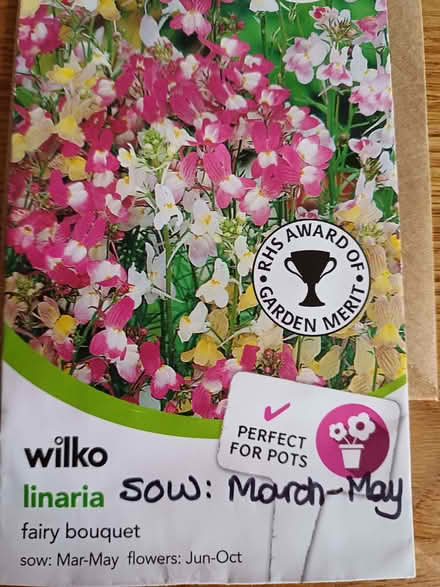 Photo of free Linaria saved seeds. (Chichester PO19) #1