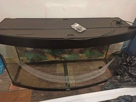 Photo of free 4 ft fish tank cracked bottom (M14) #1