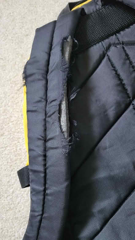 Photo of free Backpack, frayed strap (Des Peres, a mile west of 270) #1